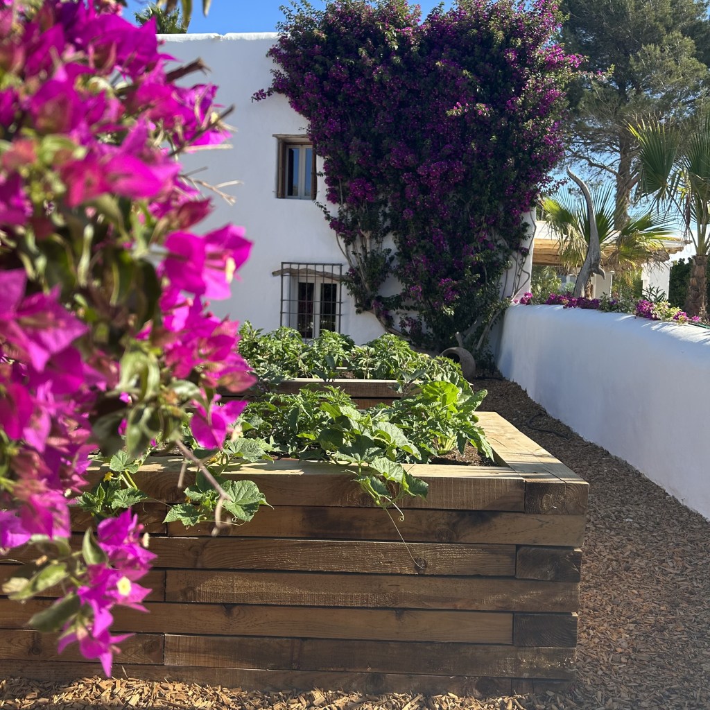 Discover the Charm of Eco-Luxe Living at Casa Terra&nbsp;Familia